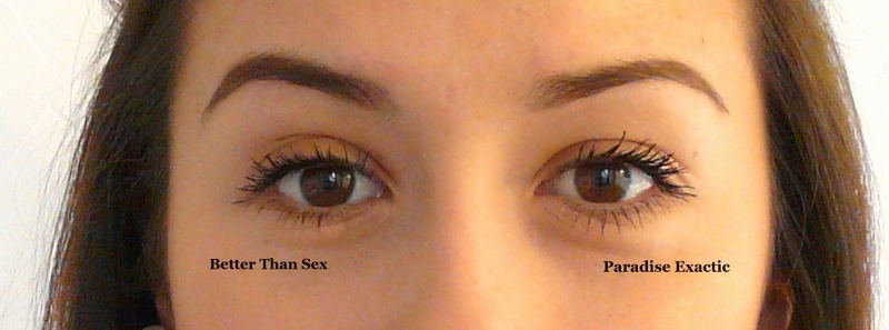 Paradise Exactic VS Better Than Sex
